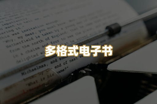 多格式电子书